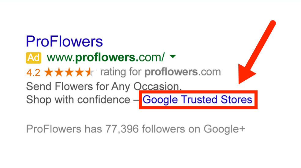 google trusted store example